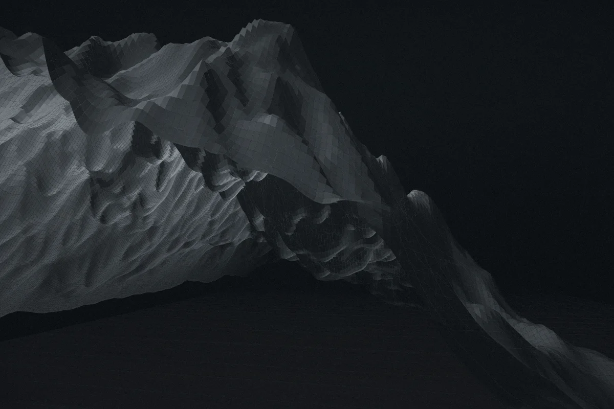 Monochrome terrain study of a coastline meeting open water.